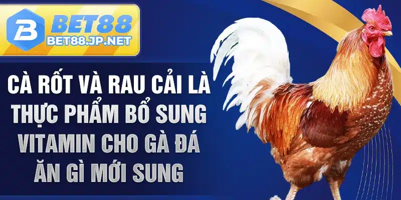 Cà rốt và rau cải là thực phẩm bổ sung vitamin cho gà đá ăn gì mới sung