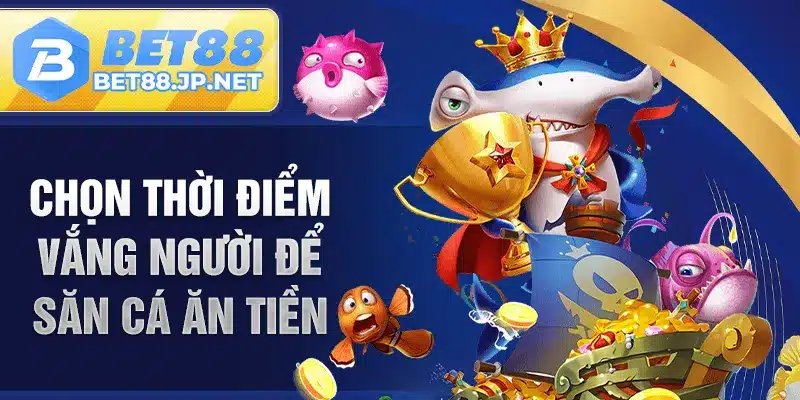 Chọn thời điểm vắng người để săn cá ăn tiền
